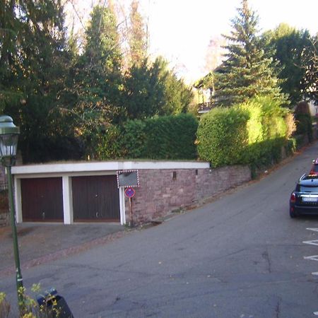 Garden Apartment Baden-Baden Esterno foto